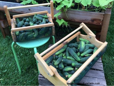 Best Gift Ideas for Homesteaders & Hobby Farmers - 2024