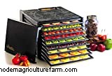 Best Gift Ideas for Homesteaders & Hobby Farmers - 2024