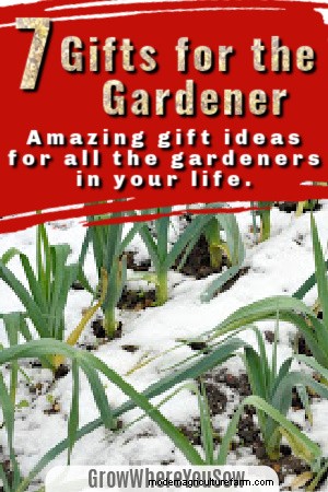 Unique Gift Ideas for Gardeners: Cultivate Joy This Season