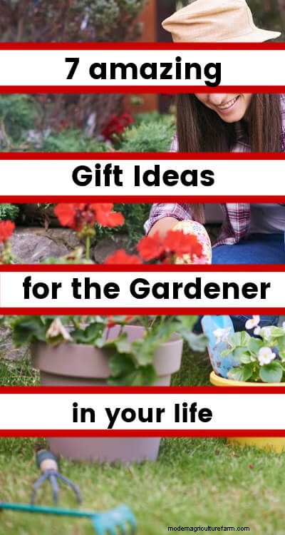 Unique Gift Ideas for Gardeners: Cultivate Joy This Season