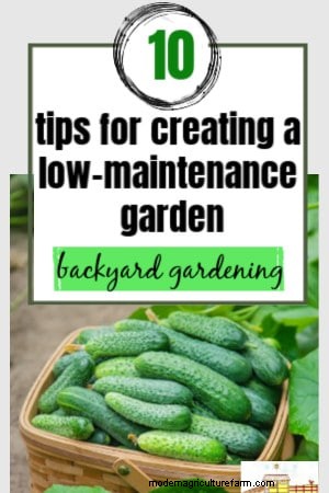 Low-Maintenance Gardening: 10 Tips for a Relaxing Garden