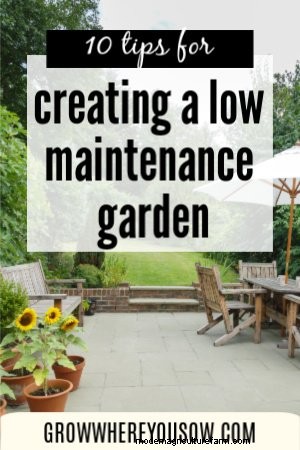 Low-Maintenance Gardening: 10 Tips for a Relaxing Garden