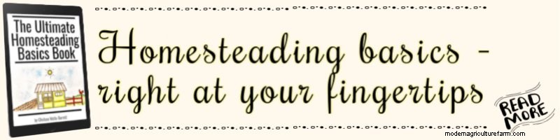 Free Homesteading Giveaway: Win a Bundle of Essentials!