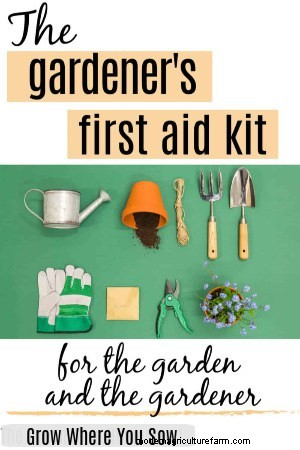 Essential First Aid Kit for Gardeners: 14 Must-Have Tools