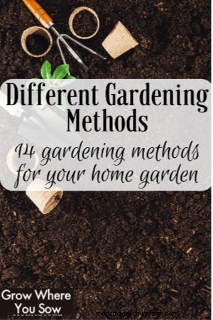 13 Gardening Methods for Beginners: Choose the Best for Your Space