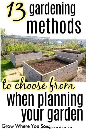 13 Gardening Methods for Beginners: Choose the Best for Your Space