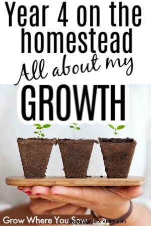 Homestead Growth: Reflecting on Year 4 & Future Plans