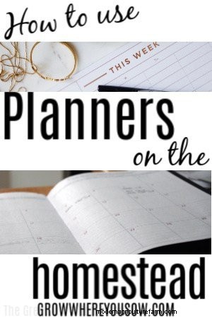 Maximize Productivity: 4 Ways Planners Boost Organization