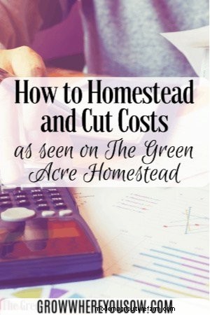 Homestead Cost Savings: 8 Proven Ways to Reduce Expenses