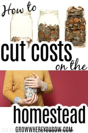 Homestead Cost Savings: 8 Proven Ways to Reduce Expenses
