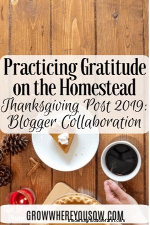 Homesteading Gratitude: Quotes from the Homesteading Community