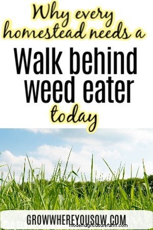 Walk-Behind Weed Eaters: Are They Worth the Investment?