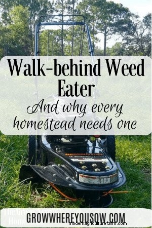 Walk-Behind Weed Eaters: Are They Worth the Investment?