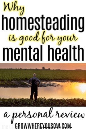 Finding Mental Wellness Through Homesteading: A Personal Perspective