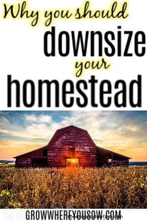Downsizing Your Homestead: 6 Reasons & Why It s Okay
