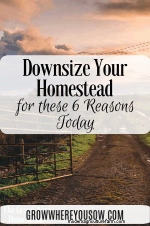 Downsizing Your Homestead: 6 Reasons & Why It s Okay