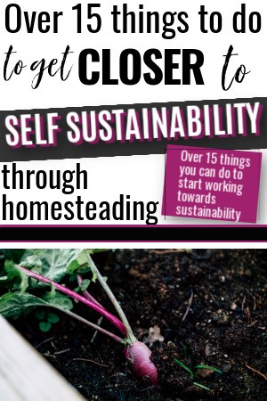 19 Practical Steps Towards Self-Sustainability for Homesteaders