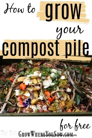 Free Compost Materials: 6 Unexpected Ways to Boost Your Pile