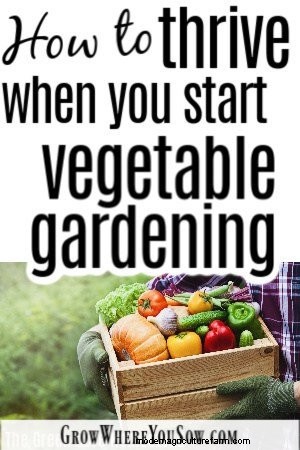 Beginner s Guide to Vegetable Gardening: Tips for Success