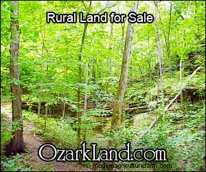 Raising Heritage Turkeys: A Profitable Homestead Venture