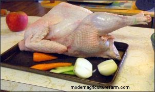 Raising Heritage Turkeys: A Profitable Homestead Venture