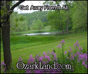 Winter Animal Husbandry: Essential Tips for Homesteaders