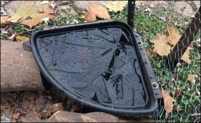 Winter Homestead Prep: Caring for Your Animals - Part 3