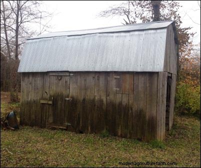 Winter Homestead Prep: Caring for Your Animals - Part 3