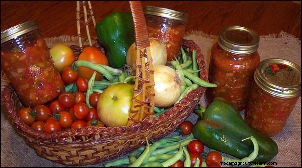 Launch a Successful CSA: A Comprehensive Guide for Farmers