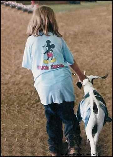 Goats for Homesteading: A Versatile Livestock Choice