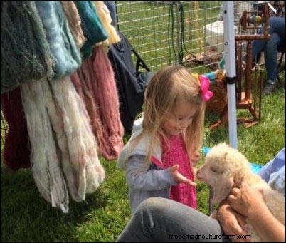 Angora Rabbits: Raising for Profit & Passion - A Beginner s Guide