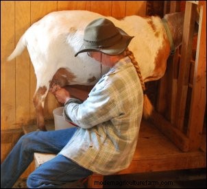 Micro-Creamery Startup: A Guide for Homesteaders