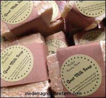 Micro-Creamery Startup: A Guide for Homesteaders