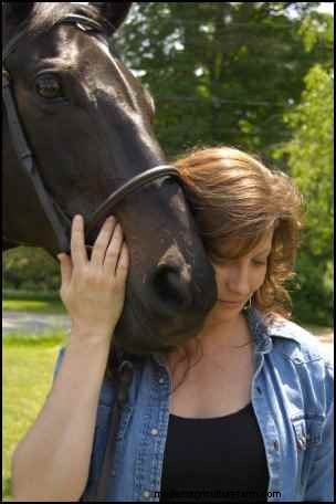 Adopting Rescue Horses: A Guide to Finding Your Perfect Companion