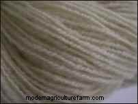 Babydoll Southdown Sheep: Charming & Gentle Fiber Animals