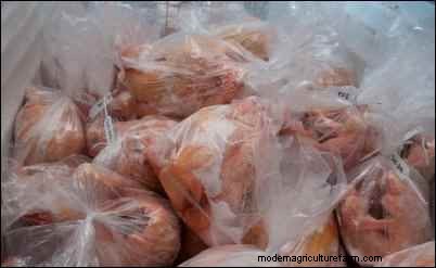 Building a Market for Farm-Raised Meats: A Personal Story