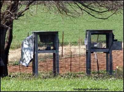 Rabbit Farming: A Beginner s Guide to Raising Healthy Rabbits