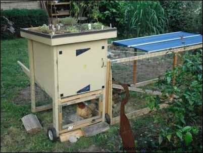 Backyard Chickens: A Beginner s Guide to Raising Happy, Healthy Birds