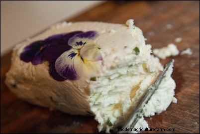 Goat Milk Recipes & Products: Delicious Uses for Goat Milk