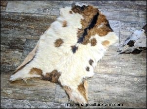 Selling Goat Meat Online: A Beginner s Guide to Success
