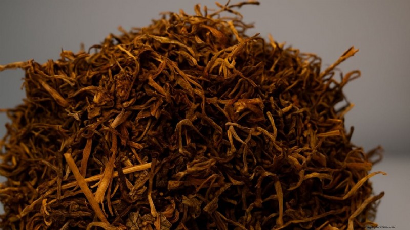 Jimbu: Himalayan Herb, Cultural Tradition & Farmer Empowerment