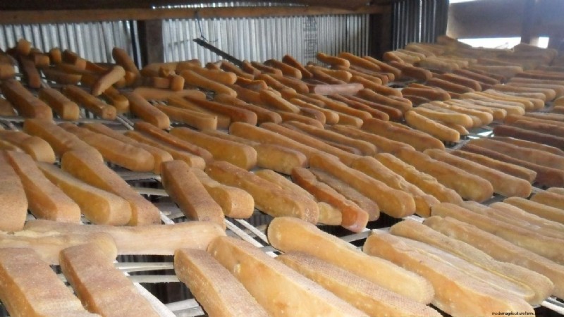 Chhurpi: Himalayan Cheese Tradition, Nutrition & Farmer Empowerment