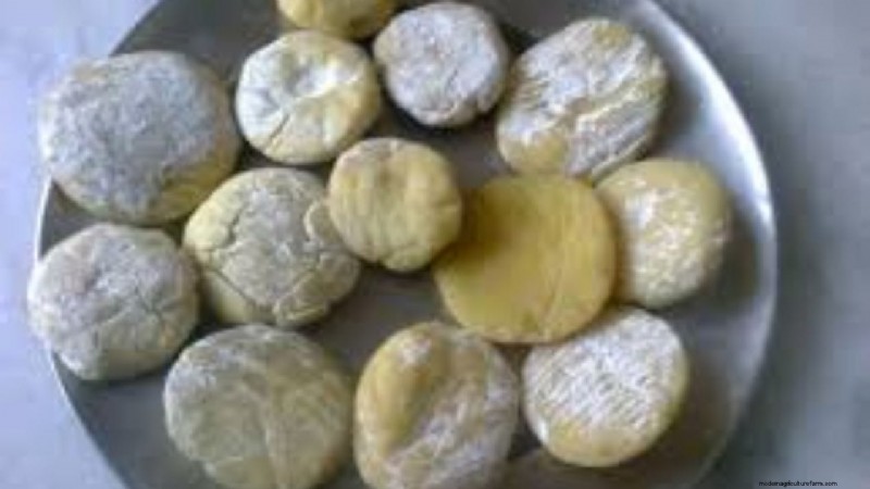 Kalari Cheese: Himalayan Mozzarella - Tradition & Health