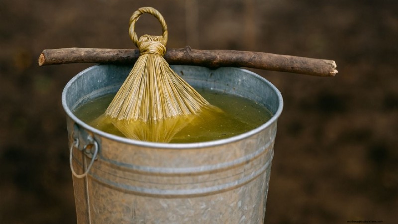 Beejamrit: Natural Seed Treatment for Improved Germination & Soil Health