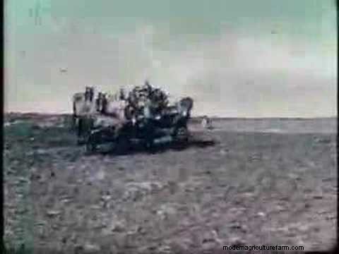Historical Farming Practices in Palouse, WA (1940s) - Video