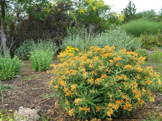 Utah Water-Wise Landscaping: Policies & Programs for Conservation