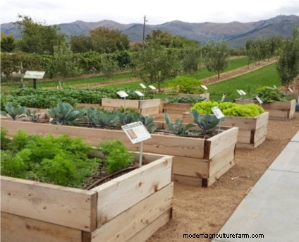 Utah Water-Wise Landscaping: Policies & Programs for Conservation