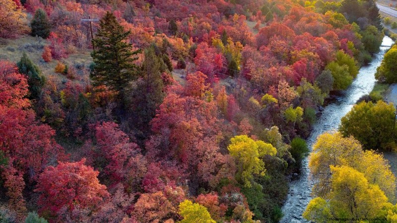 Utah Water-Wise Landscaping: Policies & Programs for Conservation