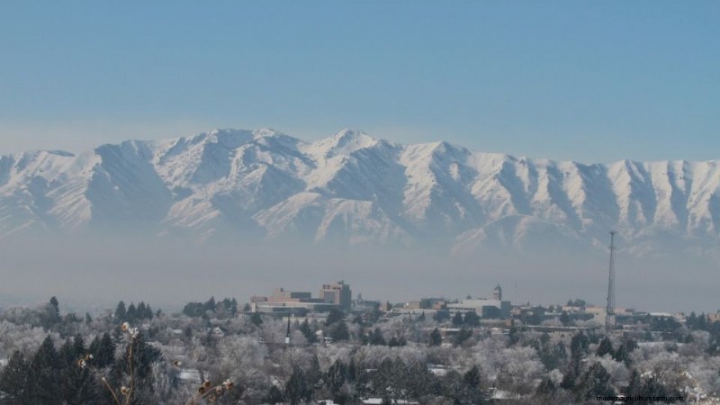 Utah Water-Wise Landscaping: Policies & Programs for Conservation