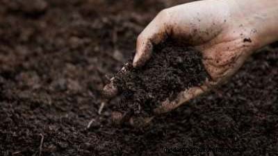 Healthy Garden Soil: Preparing & Improving Utah Soil Quality